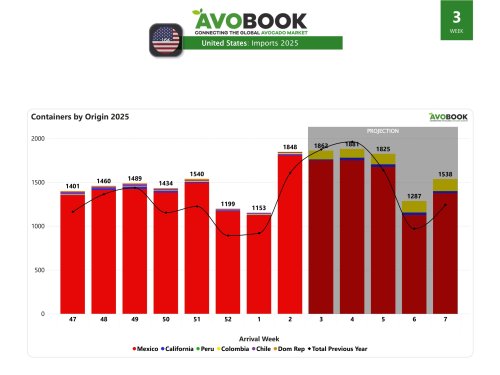 EE.UU. registra alza semanal de 60% en arribos de aguacate