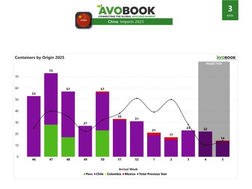 Arribos a China crecen en semana 3, pero bajan los precios