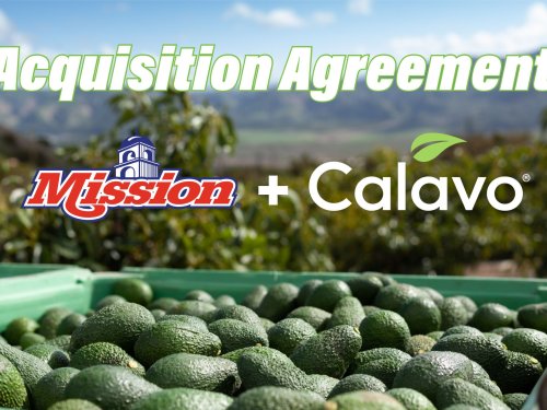 Mission adquiere Calavo y redefine el negocio del aguacate en EE.UU.