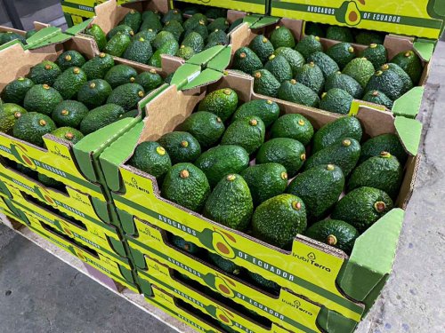 Un inicio más lento de lo previsto redefine el arranque de campaña