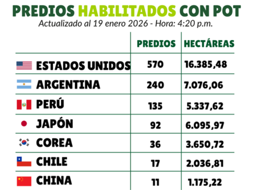 Chile duplica hectáreas habilitadas para aguacate colombiano