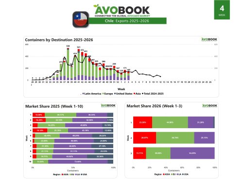 Chile supera 6.000 contenedores pese a caída semanal