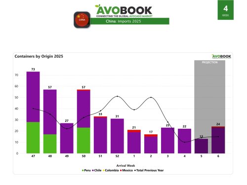 Arrivals to China increase in week 3, but prices fall