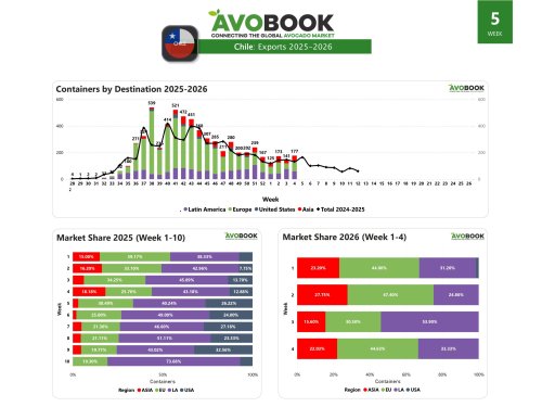 Chile records 177 exports and a year-on-year increase of 34%