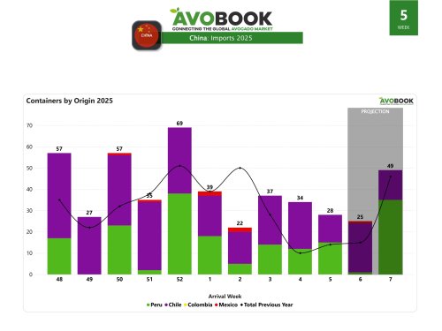 China reduces volume and prices rise 10% weekly