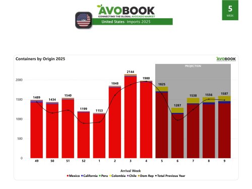 The US adjusts 1,980 shipments and maintains Mexican dominance