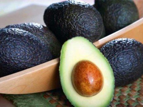 Europa enfrenta un invierno de oferta limitada en aguacate Hass