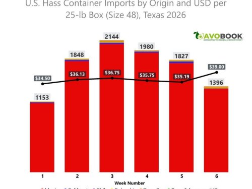 Balance Super Bowl: México rompe récord de envíos a EE.UU.