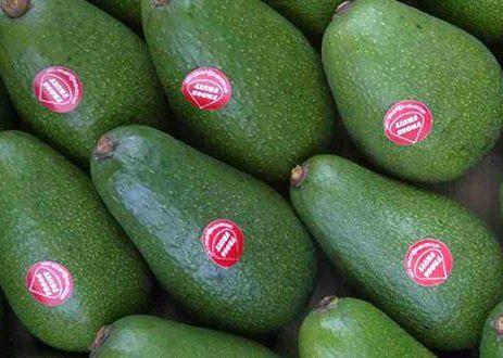 Perú fortalece liderazgo en Europa con un punto máximo de US$132 millones en abril