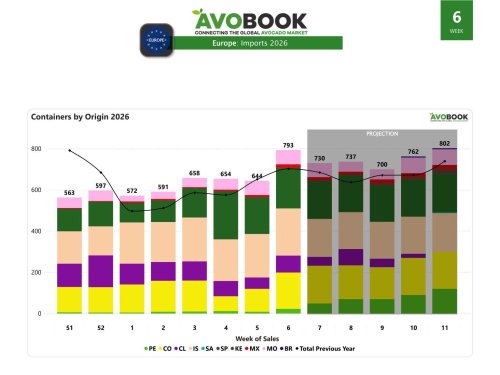 Europa recibe 793 embarques y mantiene precios estables