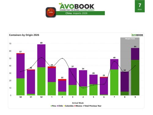 China duplica sus arribos con fuerte impulso de Perú