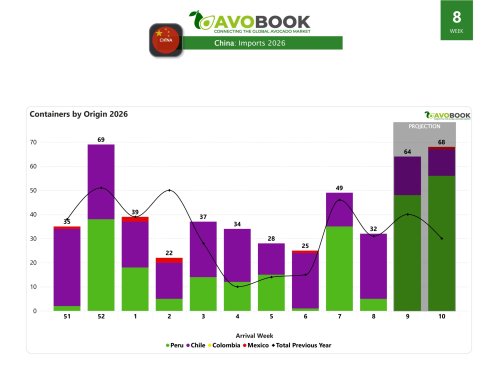 China recibe 32 embarques y cae 35% frente a la semana previa