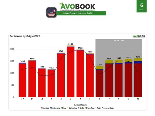 California production increases and larger sizes improve