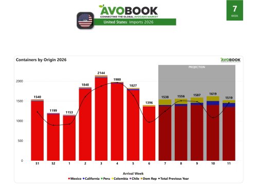 Arribos a EE.UU. retroceden 24% mientras México sostiene el liderazgo