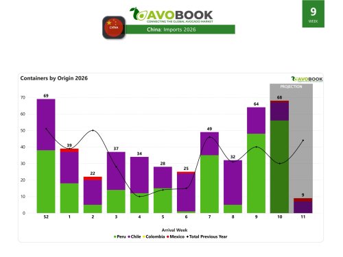 China duplica arribos a 64 embarques y mantiene precios estables desde inicios de año