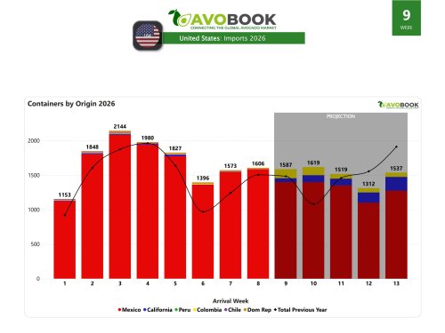 EE.UU. recibe 1.606 embarques, con México concentrando el 99% del mercado