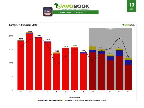 EE. UU. recibe 1.427 embarques en la semana 9 y México mantiene el 96% del suministro