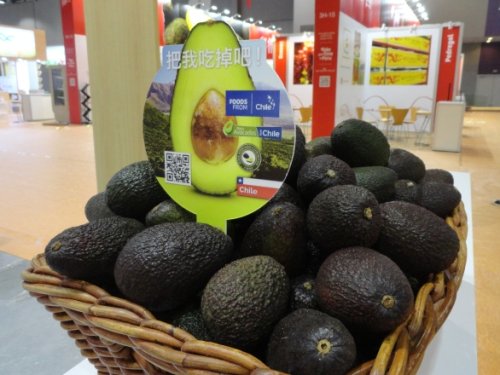 Perú acelera envíos a China mientras Chile reduce su presencia