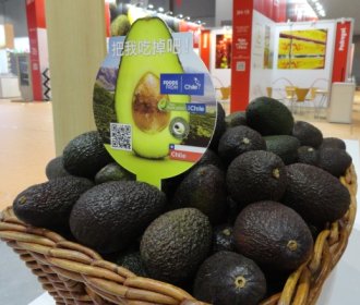 Perú acelera envíos a China mientras Chile reduce su presencia