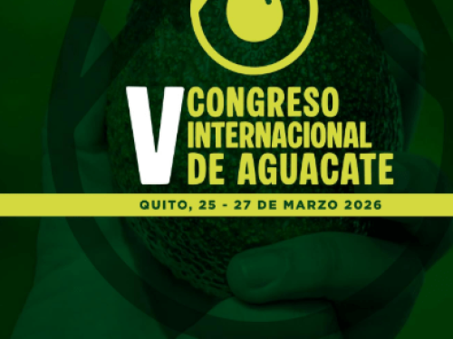 Congreso Internacional de Aguacate en Ecuador pondrá foco en comercialización y articulación de la industria
