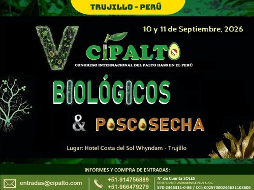 Perú anuncia el V Congreso Internacional de Palto Hass (CIPALTO) 2026 en Trujillo