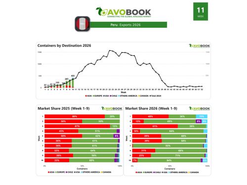 Perú alcanza 422 embarques hasta la semana 10 y dirige el 84% de sus envíos a Europa
