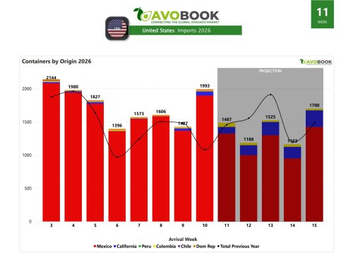 Mexico concentrates 95% of the supply to the US
