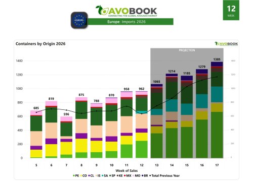 Europe grows 53% year-on-year with a drop in prices by size
