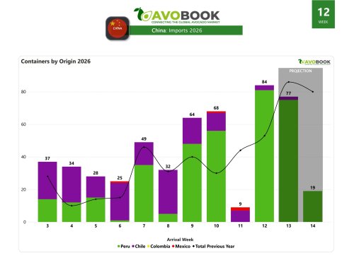 China grows 58% in volume and registers a 30% drop in prices