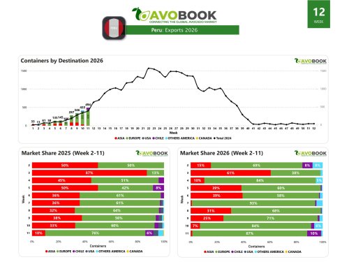 Peru reaches 494 shipments and allocates 87% to Europe
