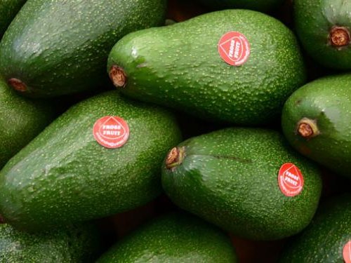 Argentina experiences sustained growth with Chilean dominance