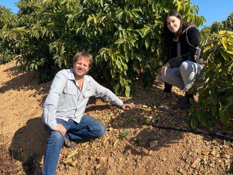 Baika implementa estrategias para disminuir caída productiva en aguacate