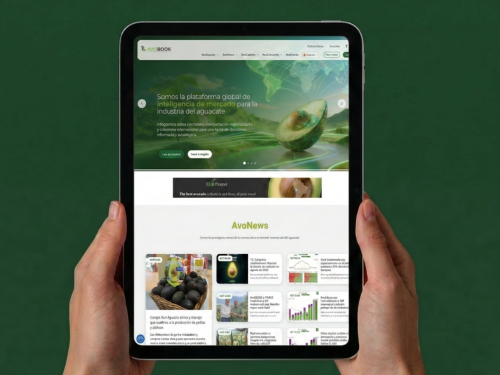 En Avobook lanzamos nuestra nueva plataforma para anticipar el mercado del aguacate