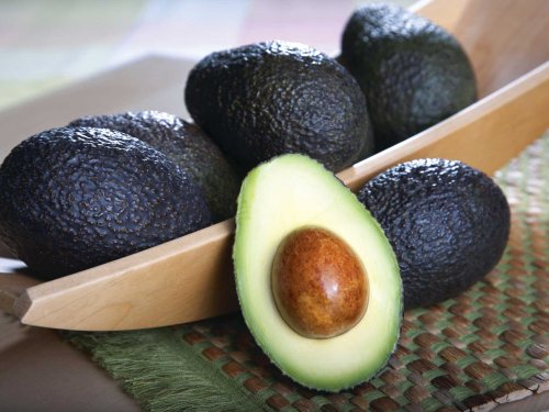 Exportaciones de aguacate chileno crecen en 2025-2026