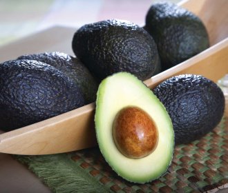 Chilean avocado exports grow in 2025-2026