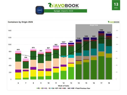 South Africa and Brazil double the volume of avocados to the European market