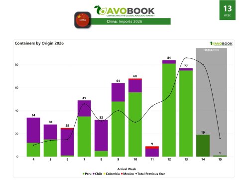 Avocado volume in China falls 8% while prices rise 28%