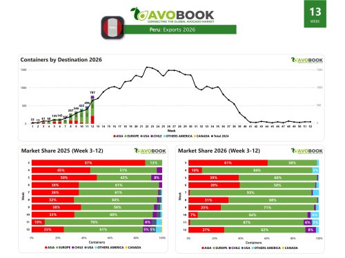 Peru grows 59% and sends 62% of its avocado volume to Europe