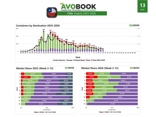 Chile closes with 36 avocado shipments, 97% of which are destined for Latin America
