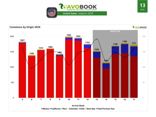 Avocado volume falls 10% in the US while prices rise by up to 5%