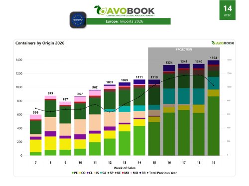 Perú y Brasil impulsan el crecimiento del mercado europeo de aguacate