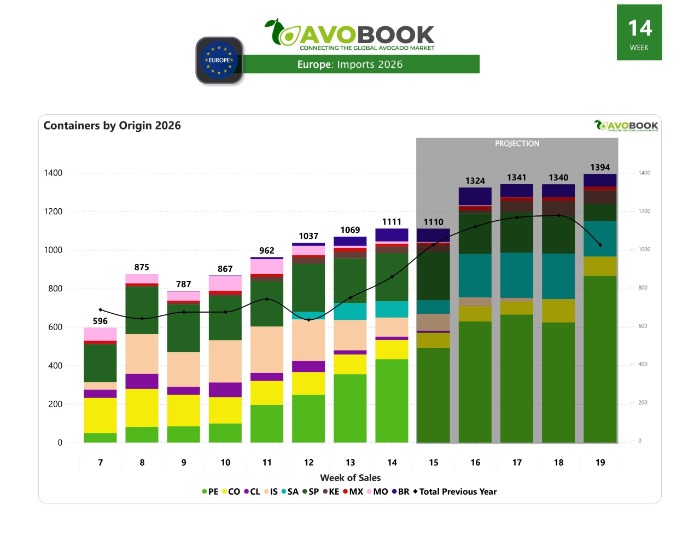 Exportación e importación aguacate Europa