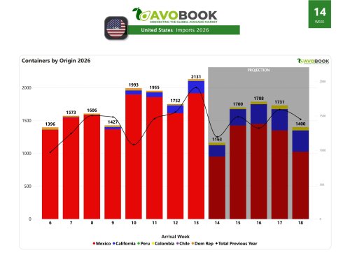 US avocado shipments exceed 2,130 tons, a 22% increase this week