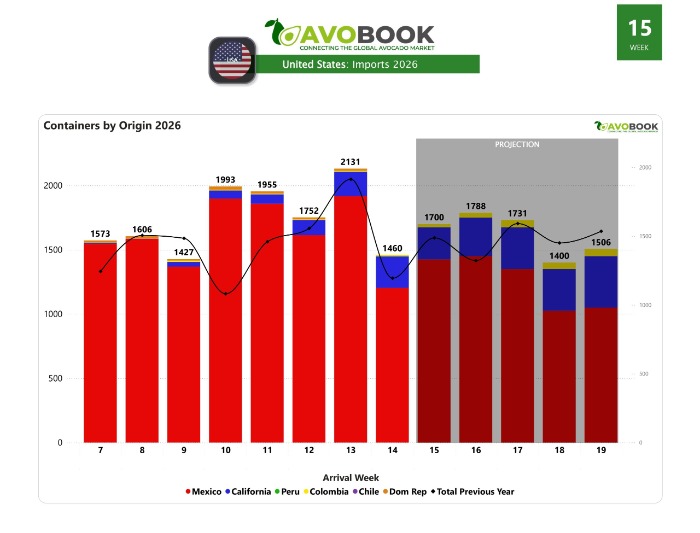 Gráfico de importación de aguacates USA