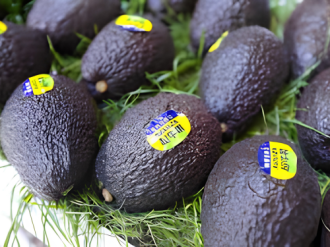 China proyecta hasta 100 mil toneladas de aguacate