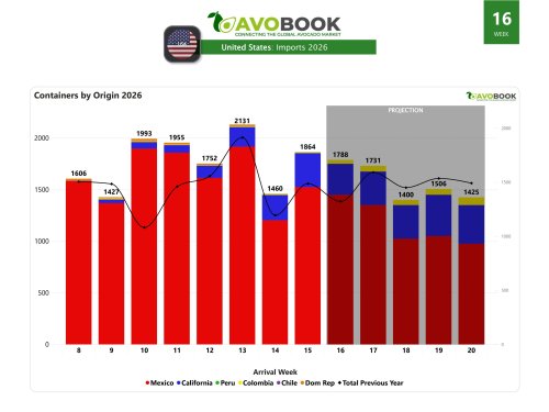 Embarques de aguacate a EE.UU. crecen 28% en la semana 15