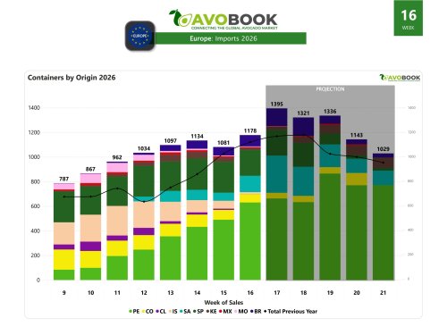 Peru surpasses 50% of the European market in week 16