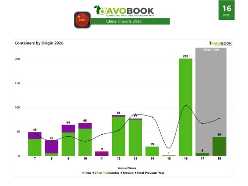 Precios del aguacate en China suben con fuerza en semana 16