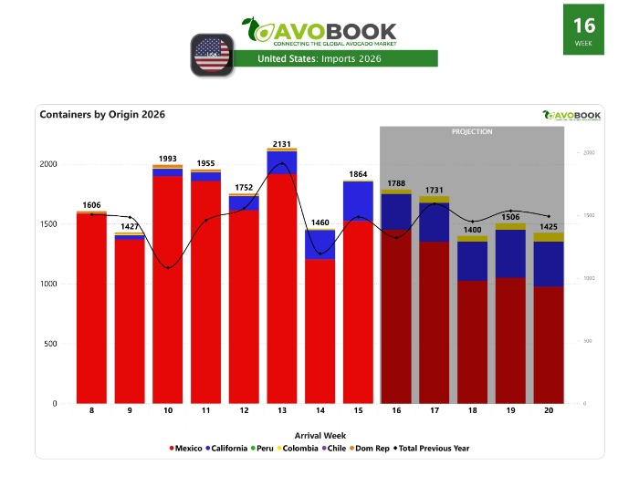Import of avocados from the USA