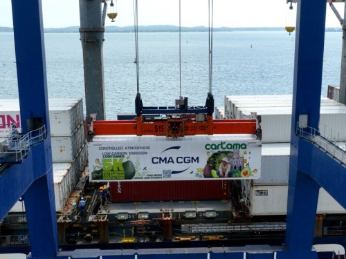 Armed conflict impacts avocado trade in Europe